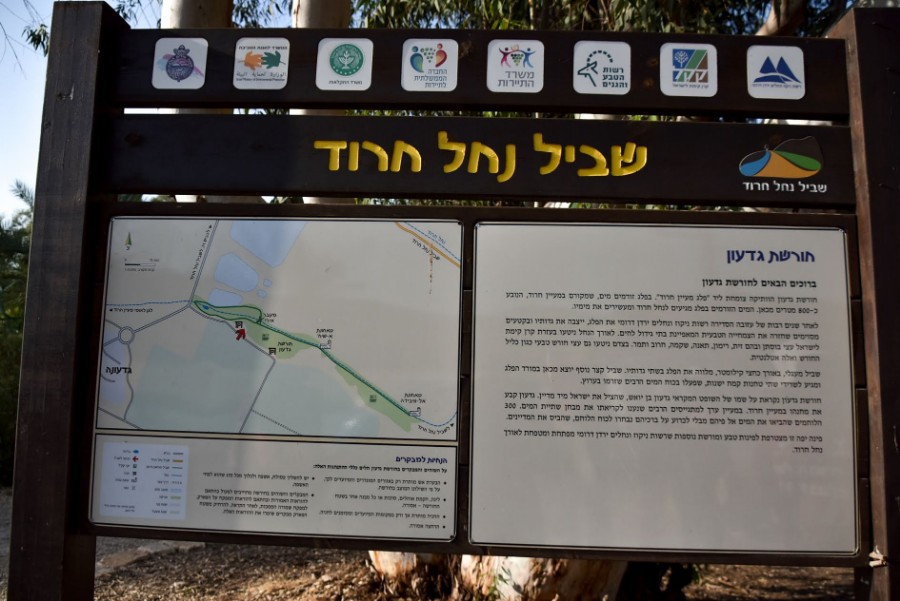 מיפגש הליכה נורדית 15.5 (1)