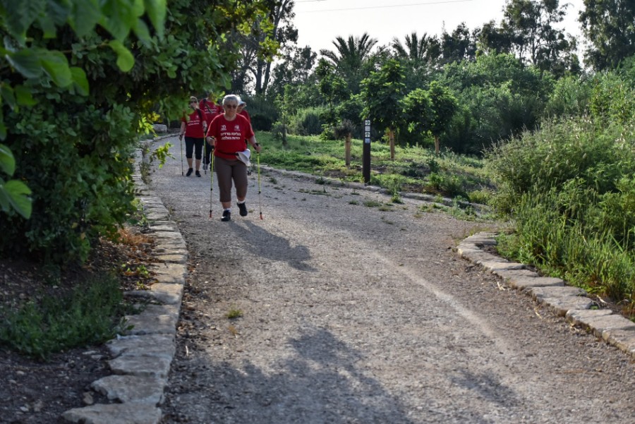 מיפגש הליכה נורדית 15.5 (10)