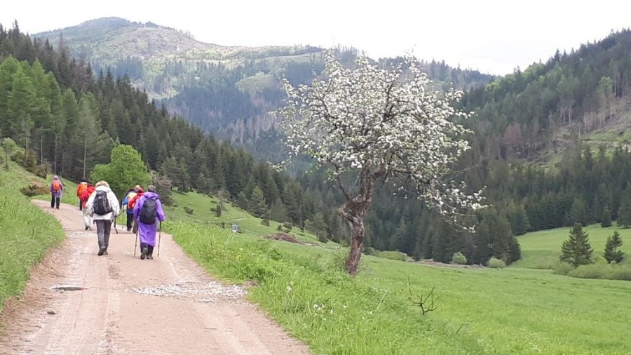 צועדים בסלובקיה 2019 (16)