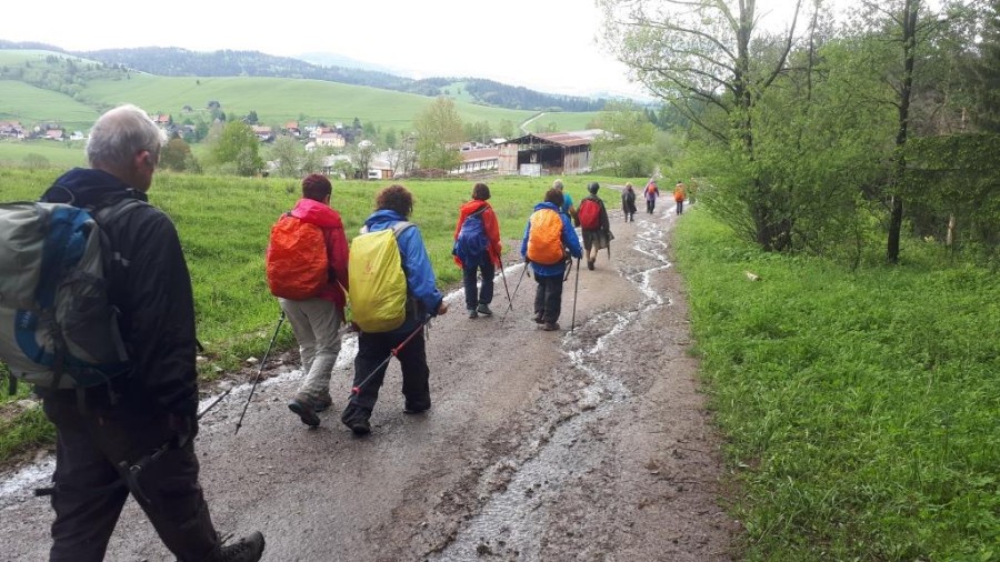 צועדים בסלובקיה 2019 (13)