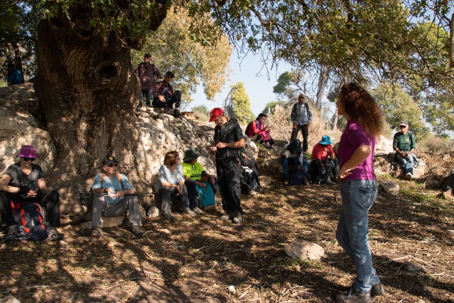 שביל הסנהדרין מבית שערים לאושה (33)