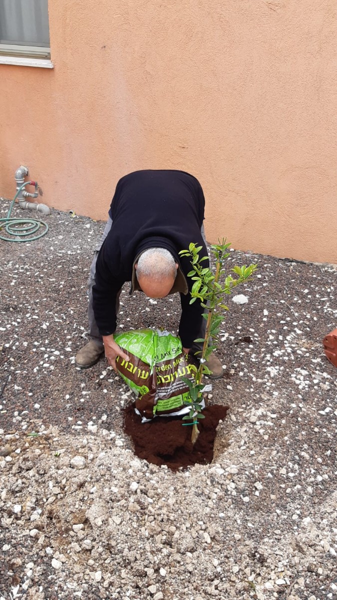 טו בשבט (10)