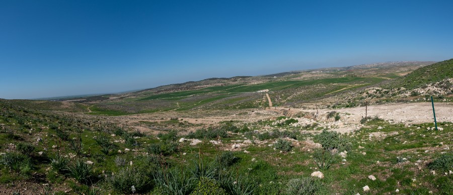 מסנסנה לדביר -שביל ישראל- (65)