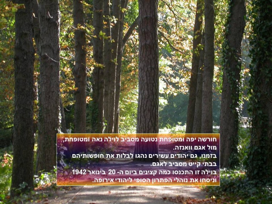 שקופית6