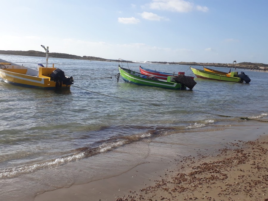 צועדים לאורך החוף מנחשולים למעגן מיכאל (4)