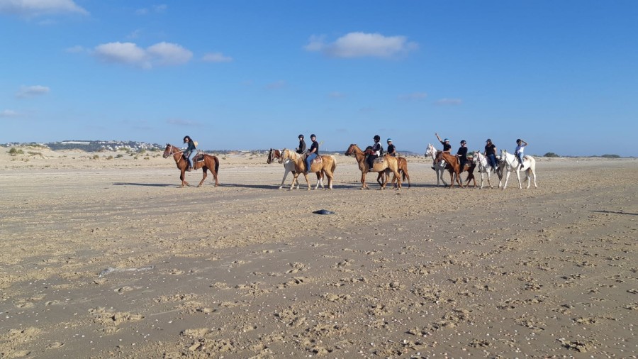 צועדים לאורך החוף מנחשולים למעגן מיכאל (47)