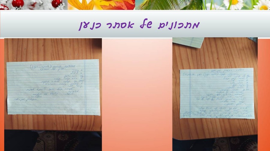 שקופית13