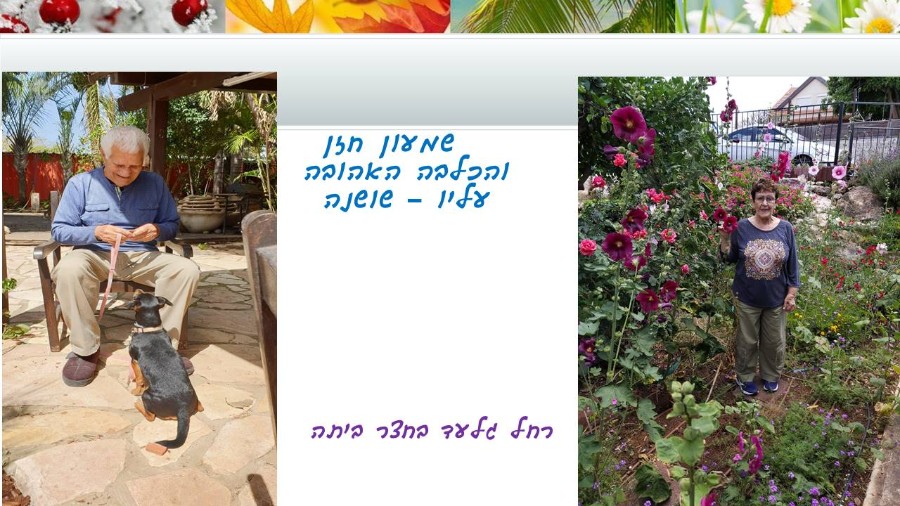 שקופית12