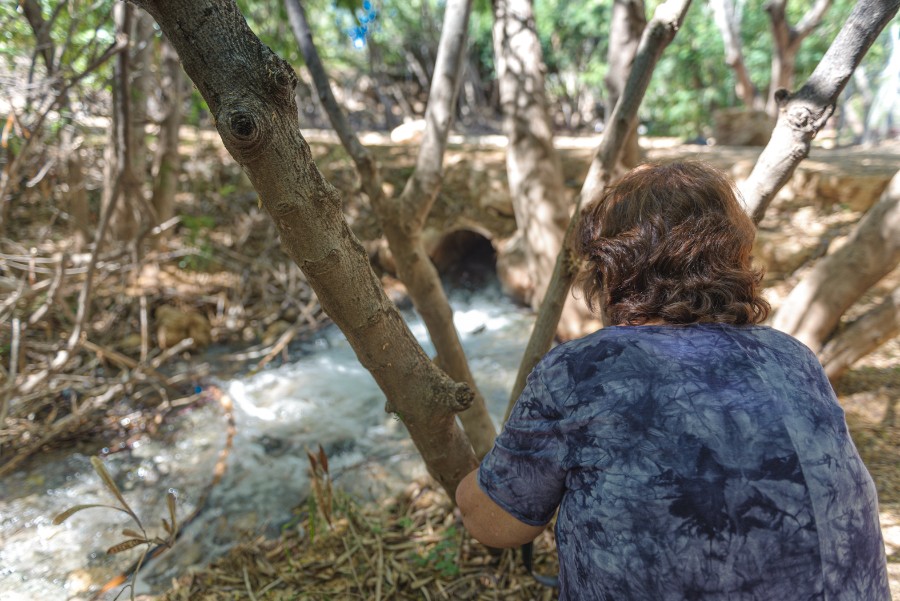 קבוצת הצילום בזווית אחרת .... בצעדים מהוססים לעבר השיגרה  (8)