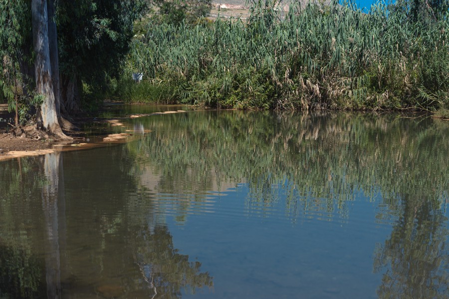 קבוצת הצילום בזווית אחרת .... בצעדים מהוססים לעבר השיגרה  (11)