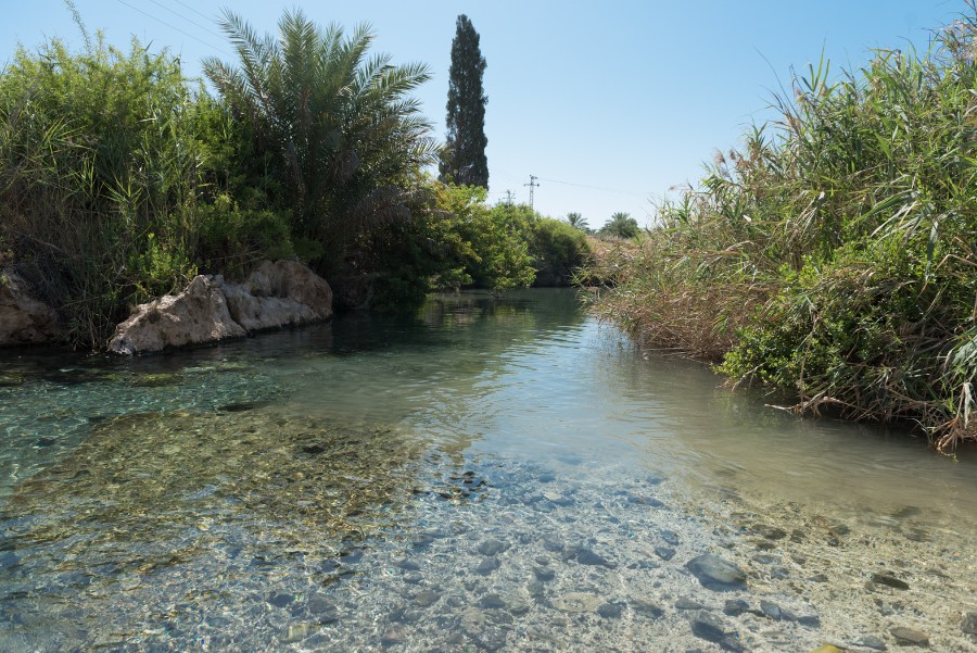 קבוצת הצילום בזווית אחרת .... בצעדים מהוססים לעבר השיגרה  (2)