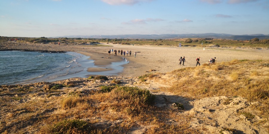 מנווה ים לנחשולים (15)