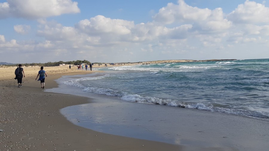 מנווה ים לנחשולים (42)