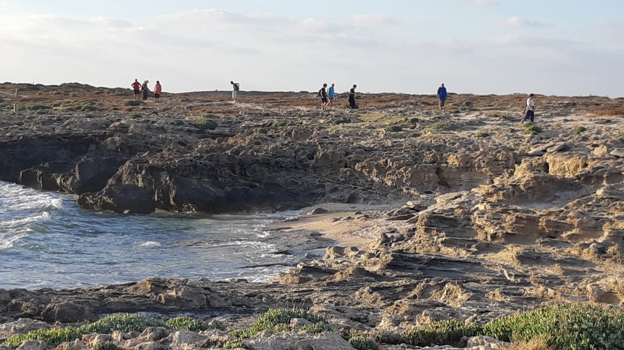 מנווה ים לנחשולים (54)