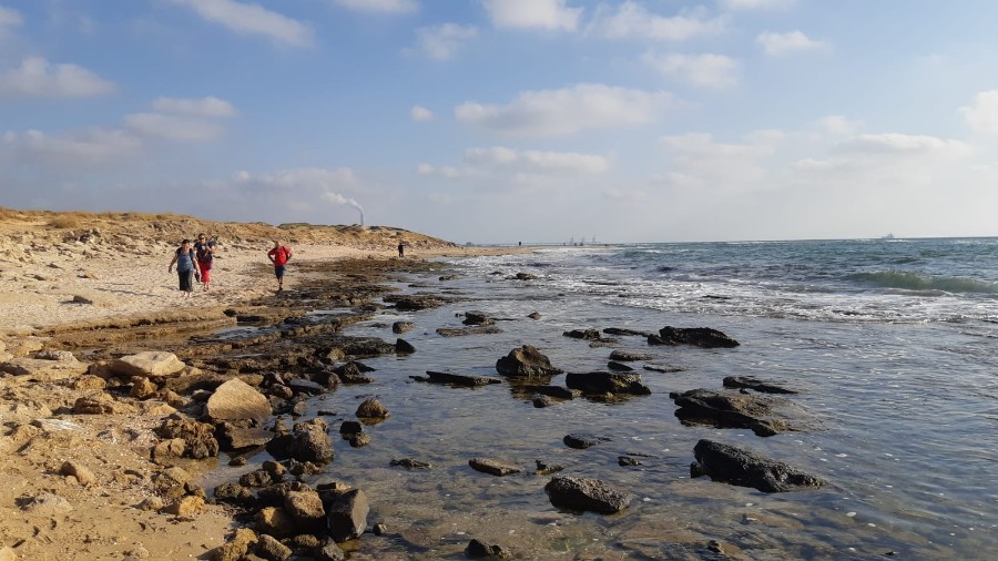 מקסרייה לג'אסר אזרקה למעגן מיכאל (7)