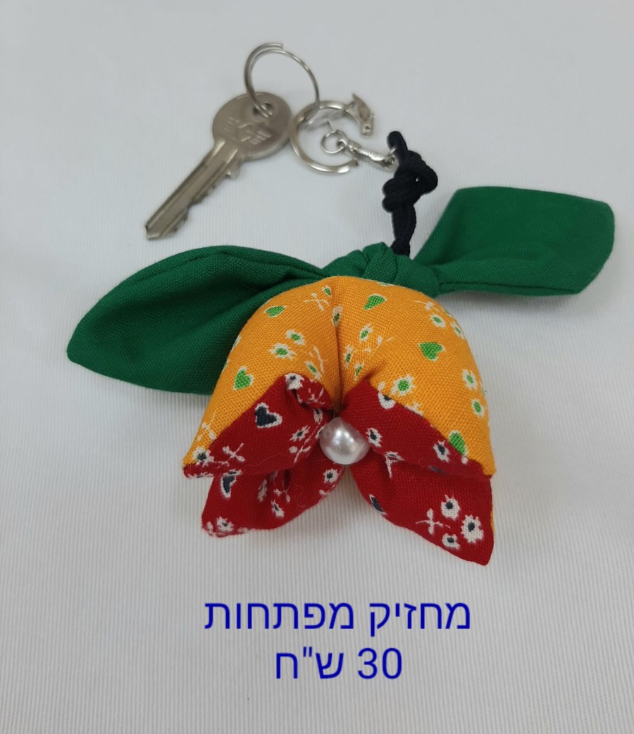 חנות הקפסולה בדורות (9)