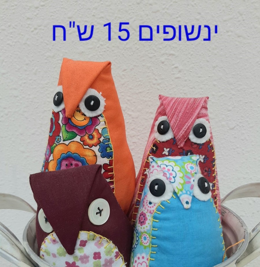 חנות הקפסולה בדורות (13)