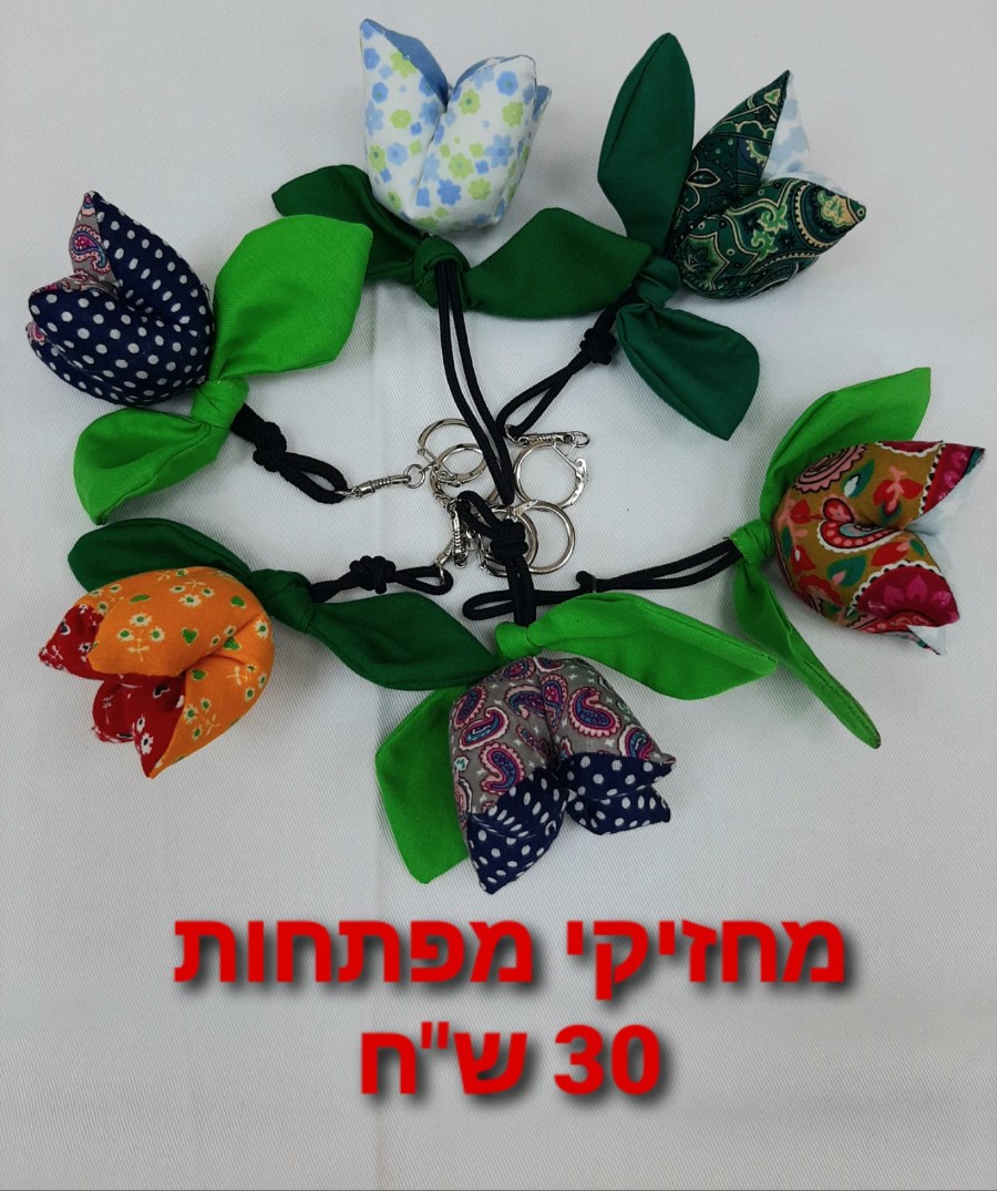 חנות הקפסולה בדורות (7)