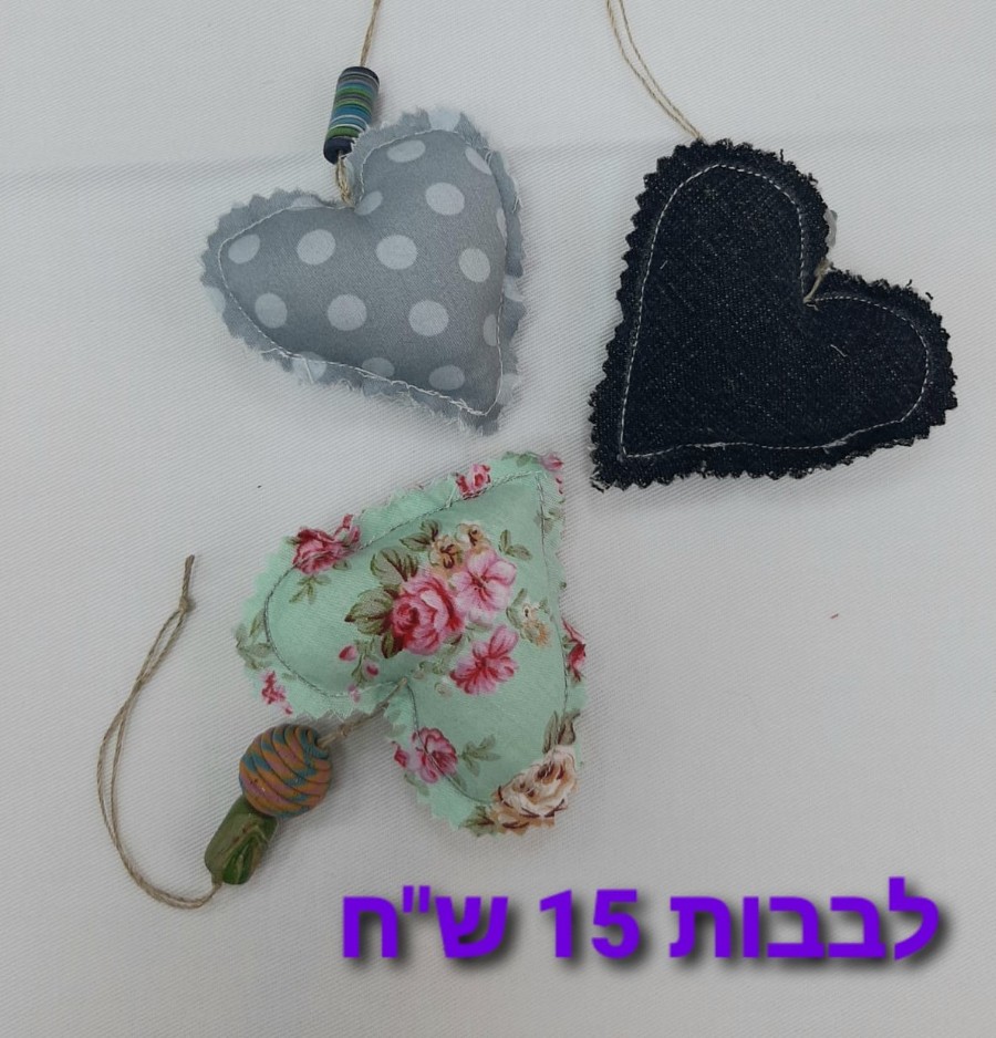 חנות הקפסולה בדורות (14)