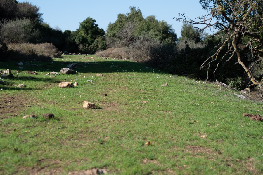 מחרבת חוממה   לנחל מורן ועליה בנחל נרייה (31)