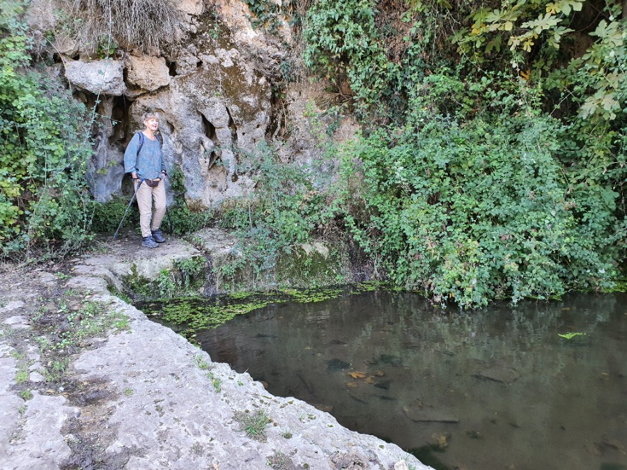 מחרבת חוממה   לנחל מורן ועליה בנחל נרייה (6)