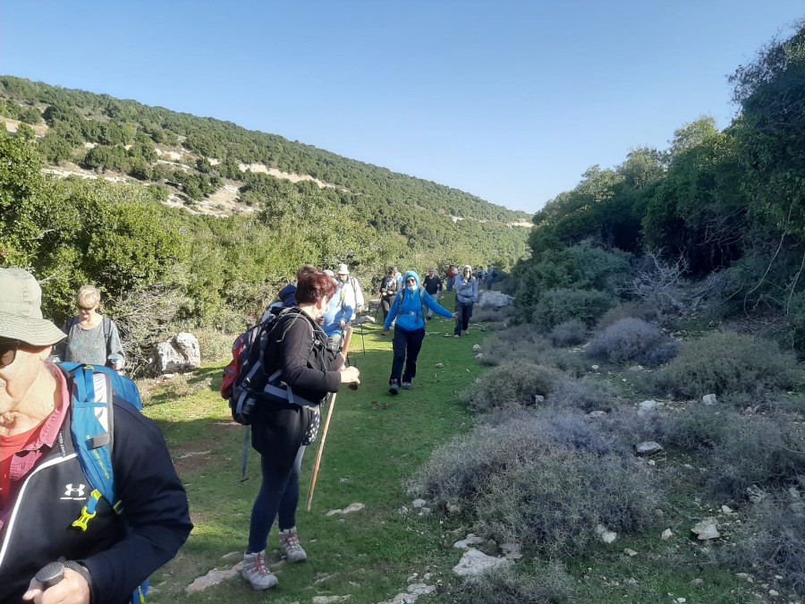 מחרבת חוממה   לנחל מורן ועליה בנחל נרייה (13)