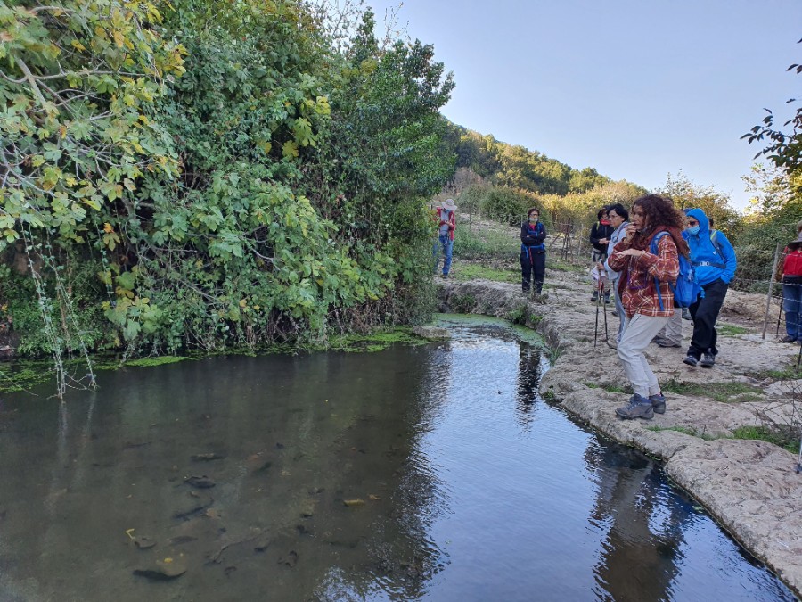 מחרבת חוממה   לנחל מורן ועליה בנחל נרייה (7)