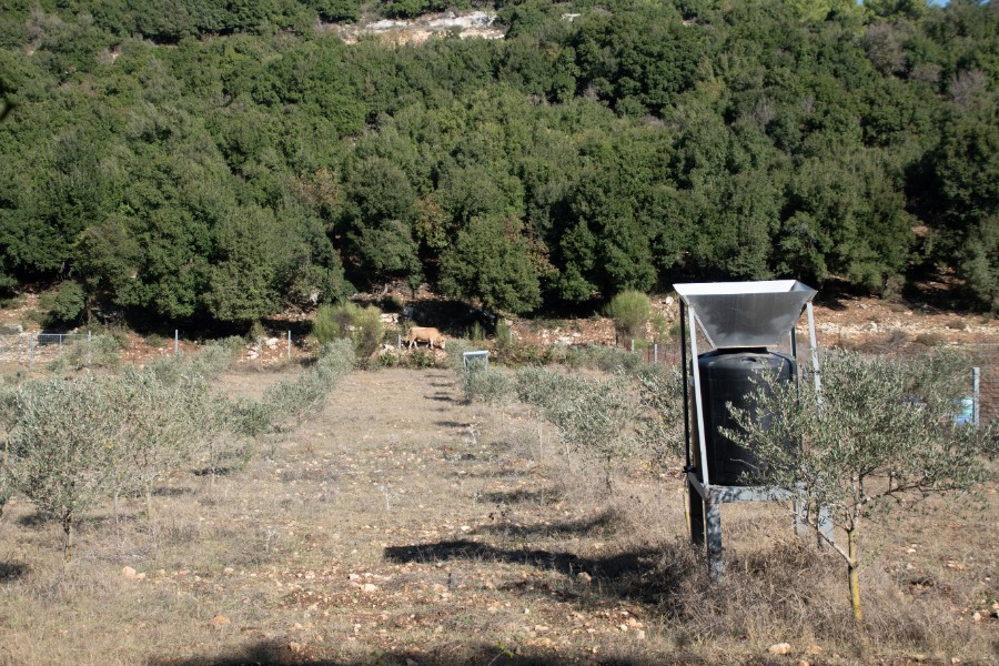 מחרבת חוממה   לנחל מורן ועליה בנחל נרייה (19)