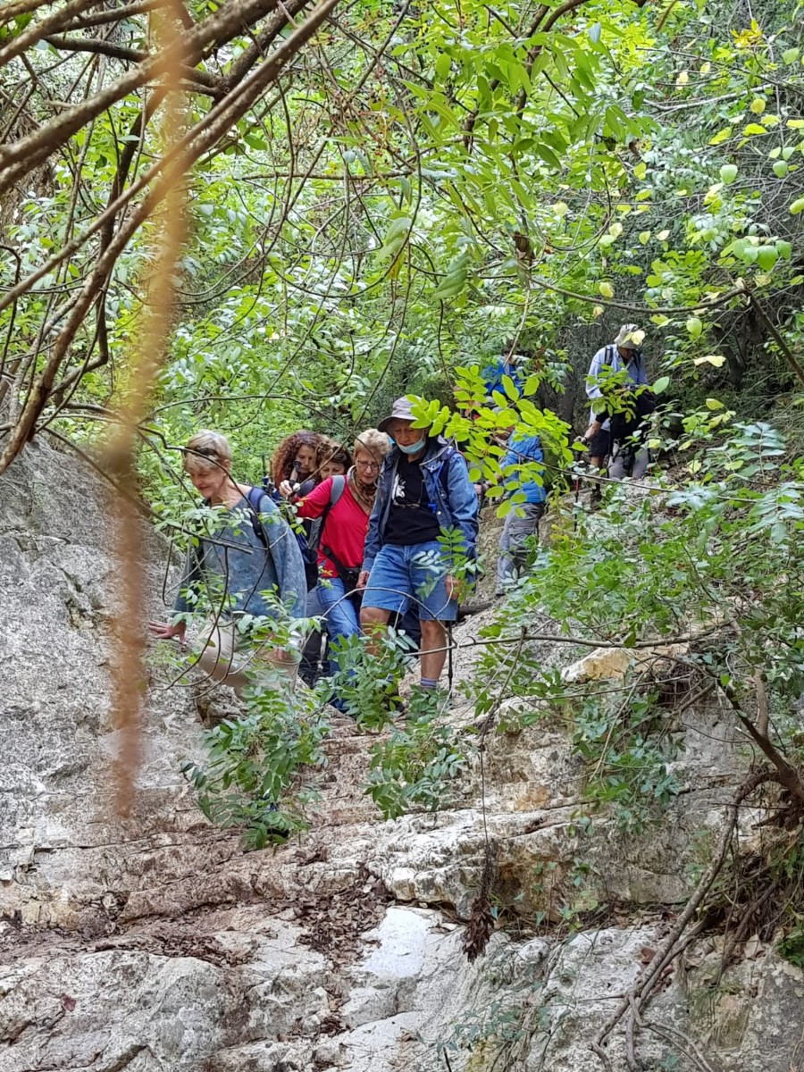 מחרבת חוממה   לנחל מורן ועליה בנחל נרייה (14)