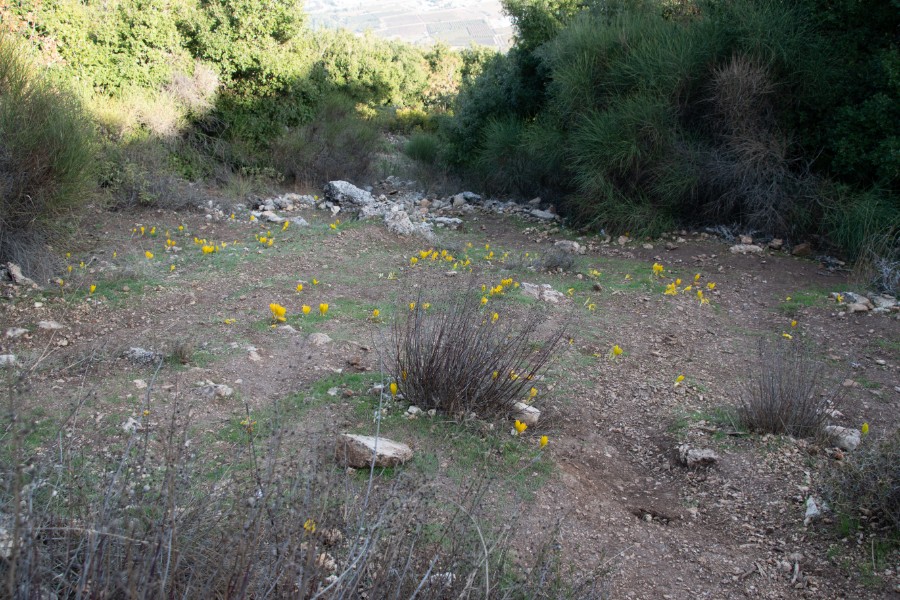 מחרבת חוממה   לנחל מורן ועליה בנחל נרייה (61)