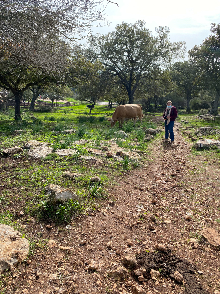 שמורת אלוני אבא (14)