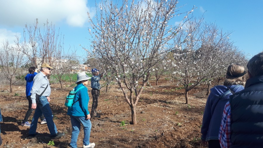 גבעות בית קשת וכפר תבור (13)