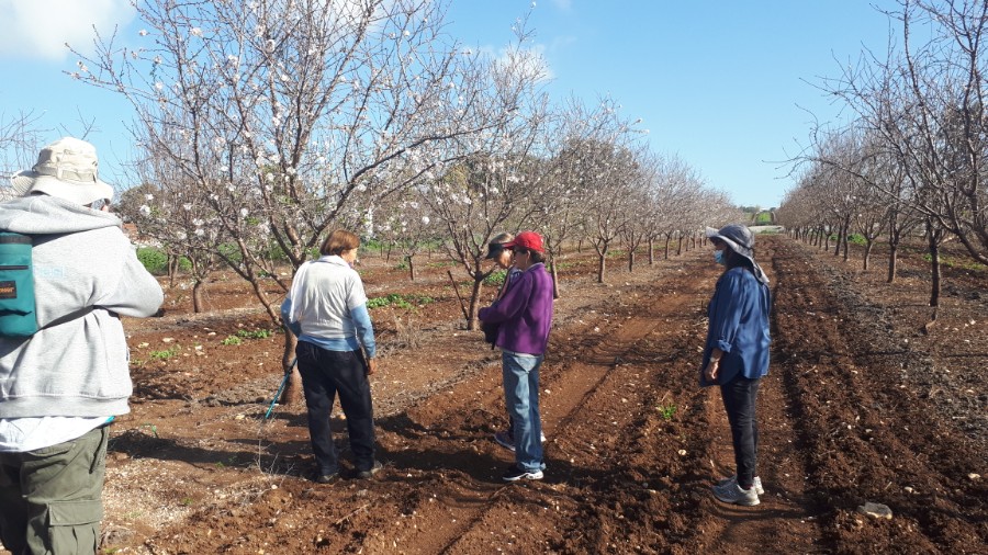 גבעות בית קשת וכפר תבור (17)