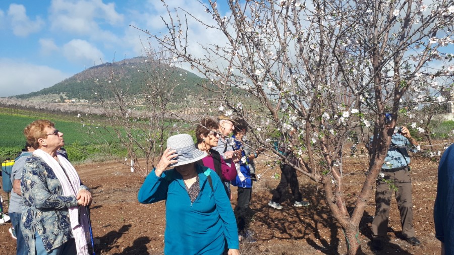 גבעות בית קשת וכפר תבור (14)