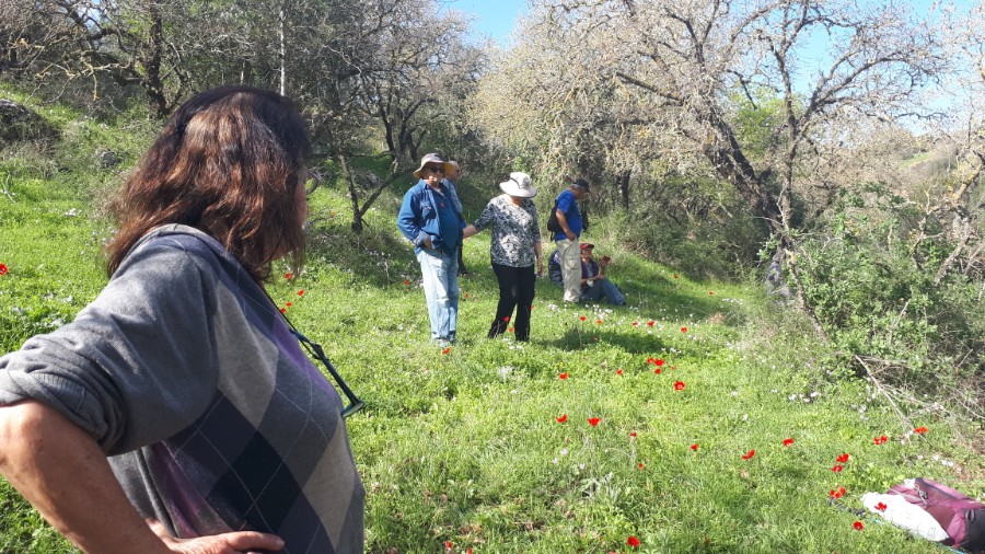 גבעות בית קשת וכפר תבור (21)