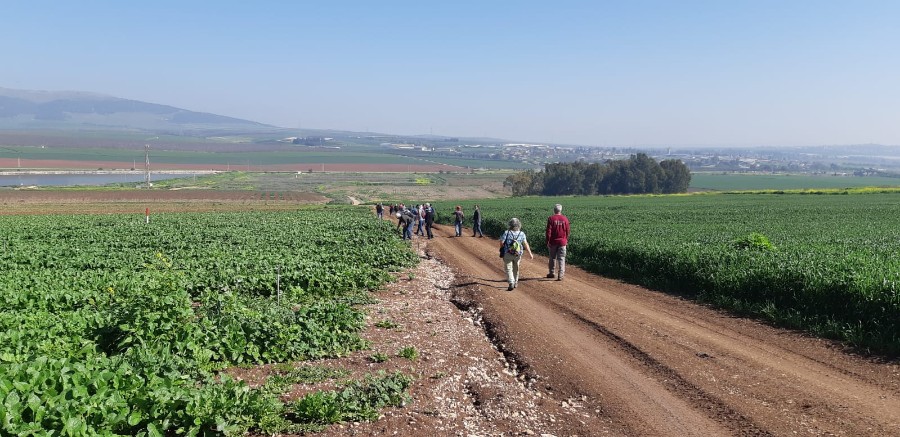 מתל יזרעאל  לעין יזרעאל ולאורך נחל נבות (3)