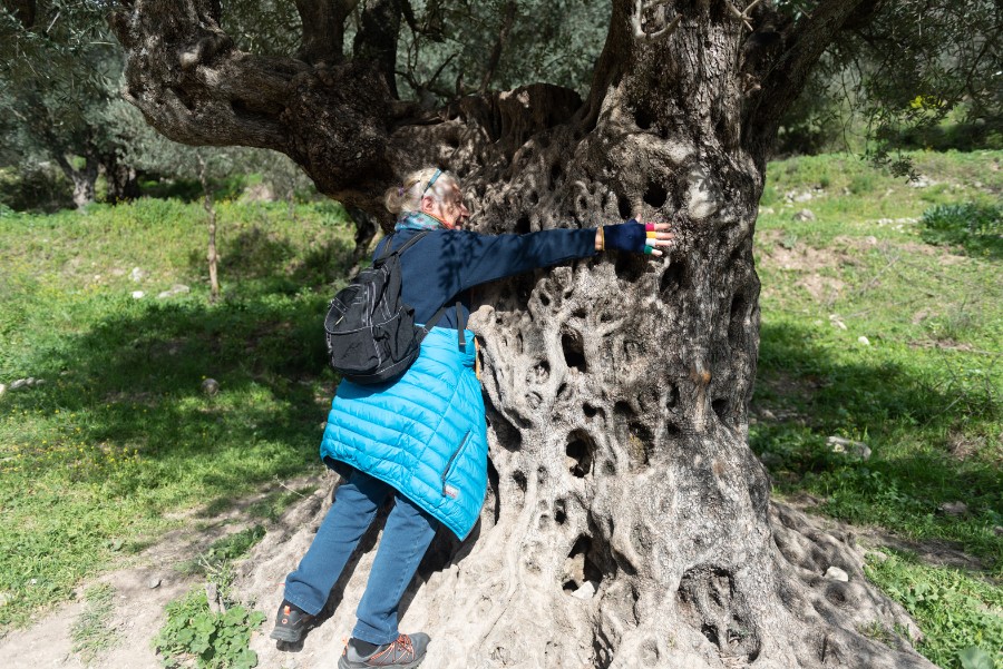 ואדי ראש פינה (6)