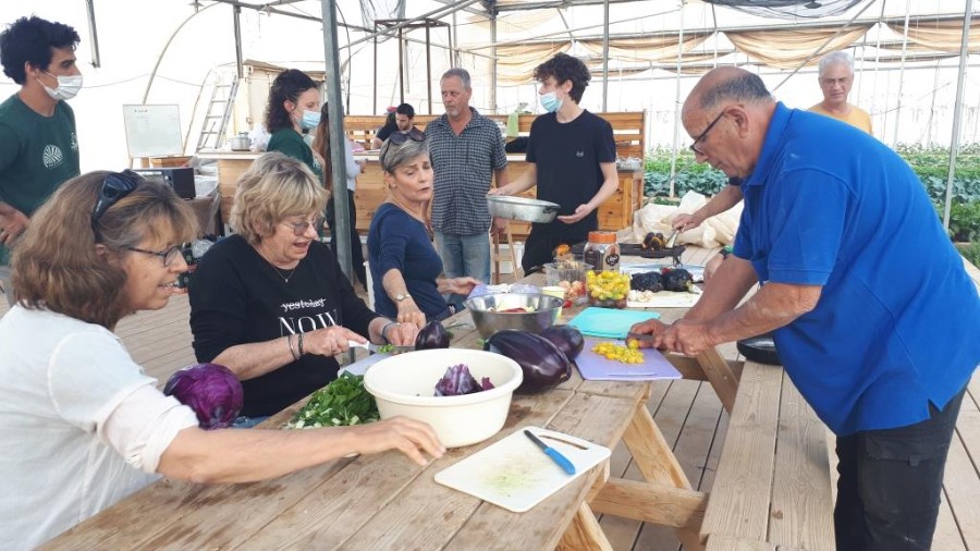 ערבה תיכונה  (73)