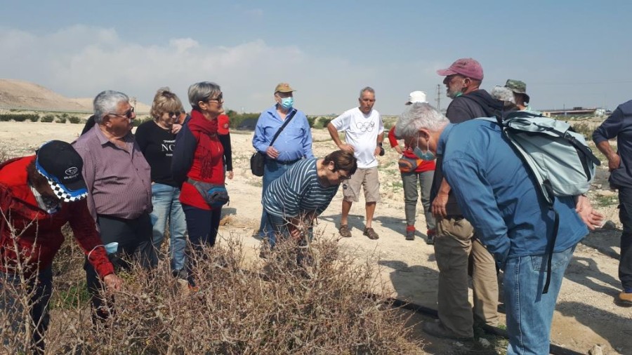 ערבה תיכונה  (134)