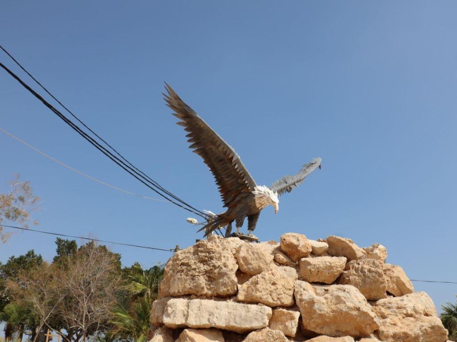 ערבה תיכונה (8)