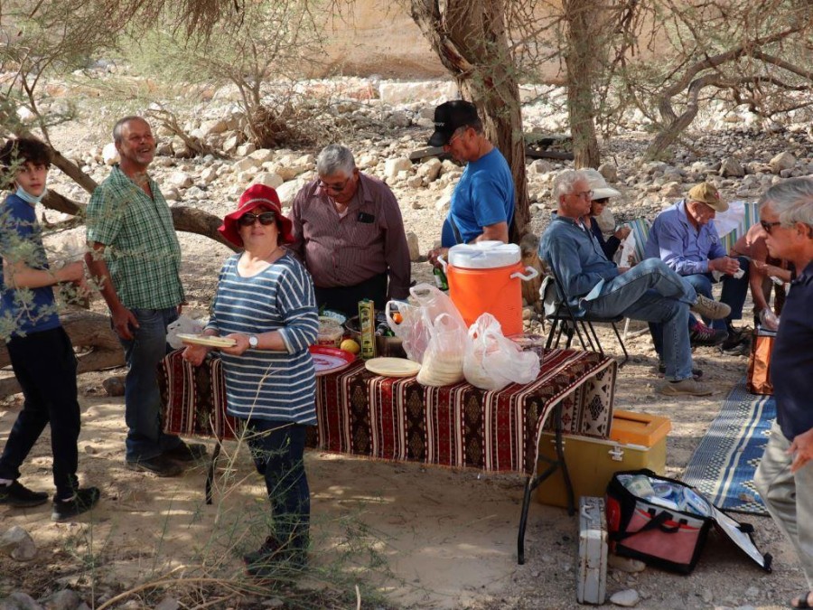 ערבה תיכונה (10)