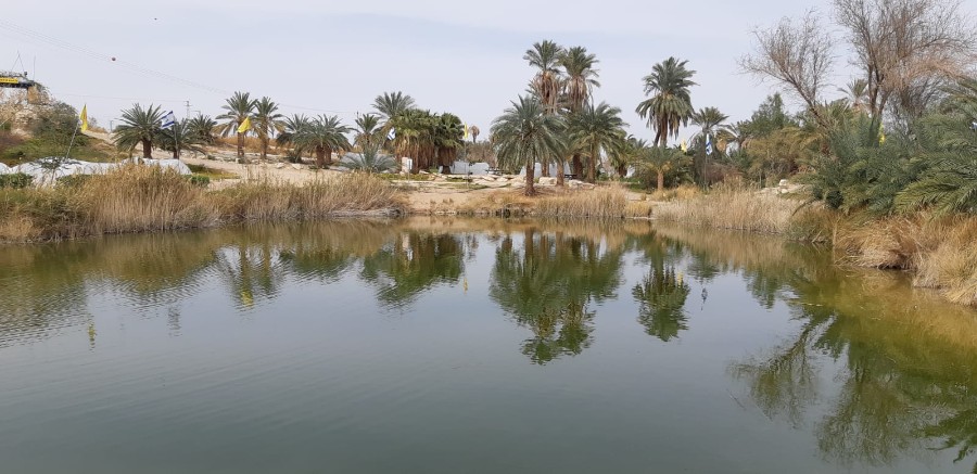 אילת תשפא (26)