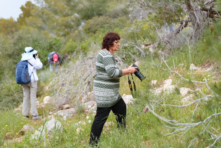 כשהאביב מגיע (13)