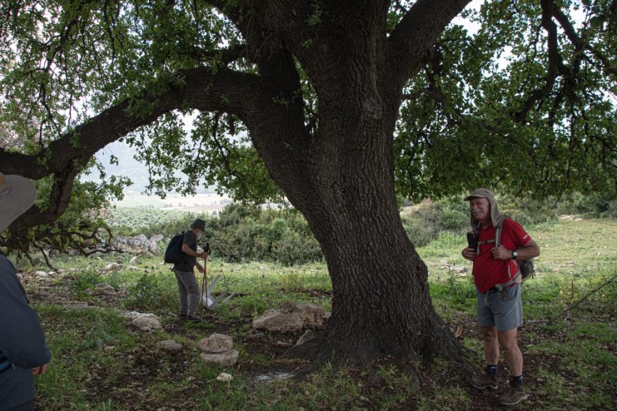 מכעבייה לכפר חסידים (52)