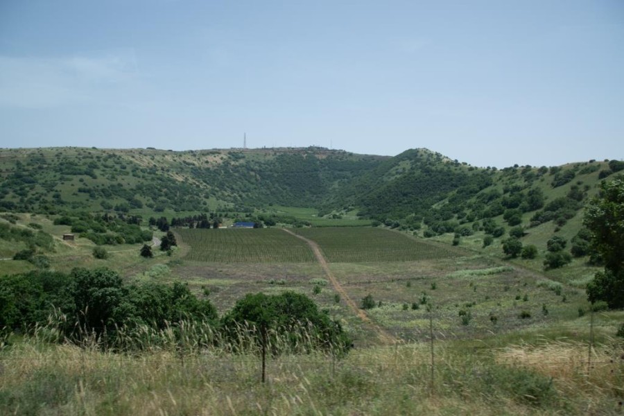 פרק עורבים קצרין (1)