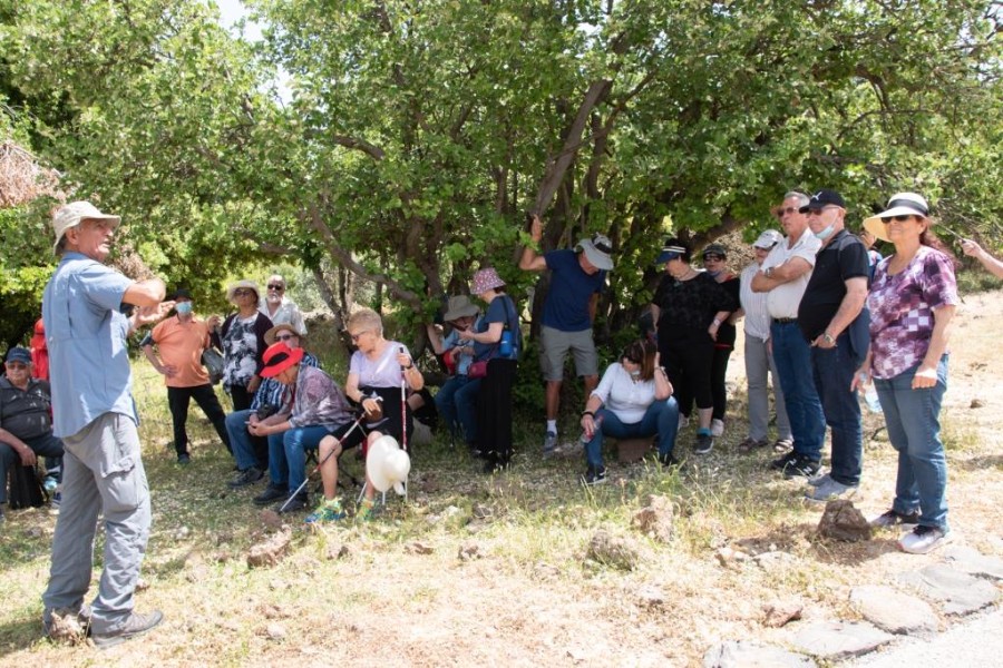 תל פחר (13)