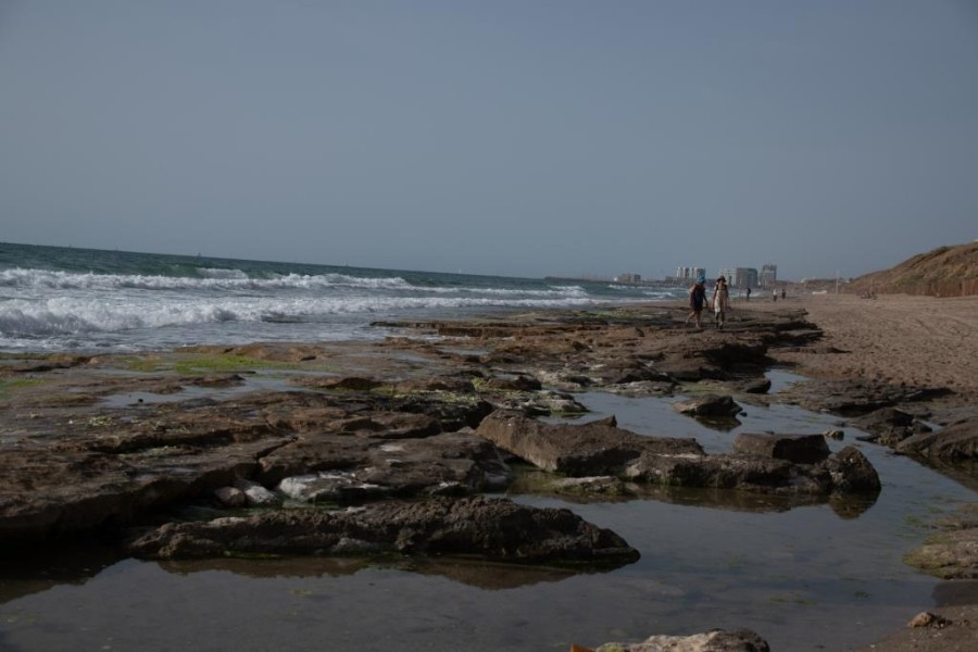 טיול ערב מהרצליה  עד נמל תל-אביב ומשם לאורך הירקון עד גני יהושוע  (6)