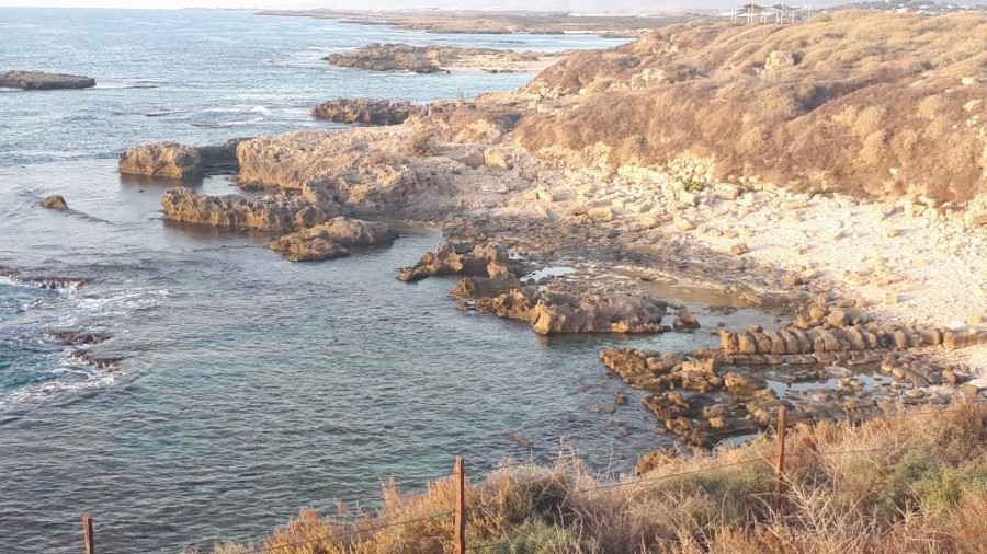 נופש וטיולים נחשולים (5)
