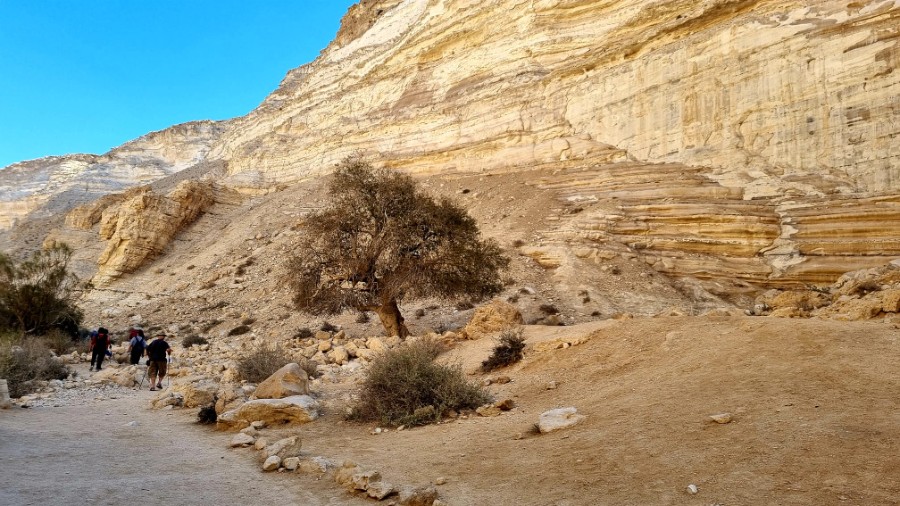 3 ימים במרחב המדברי (33)