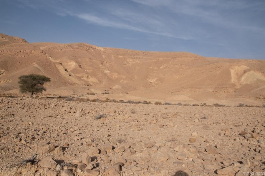 שביל ישראל, הרי אילת 2021 (52)